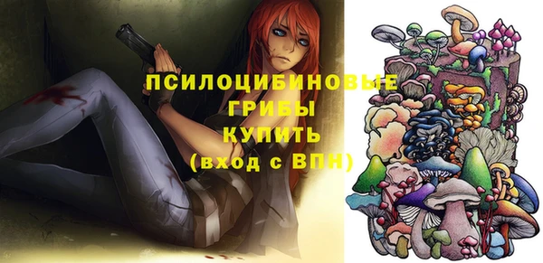 тгк Михайловск